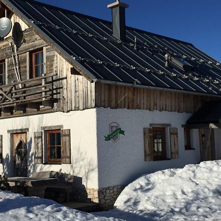 Almchalet Feuerkogel ابينسي المظهر الخارجي الصورة